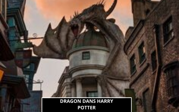 Harry Sees Dragons - Harry Potter Et La Coupe De Feu (HQ) 